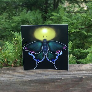 Sticker Butterfly