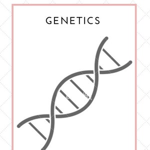 Genetics Notes Bundle
