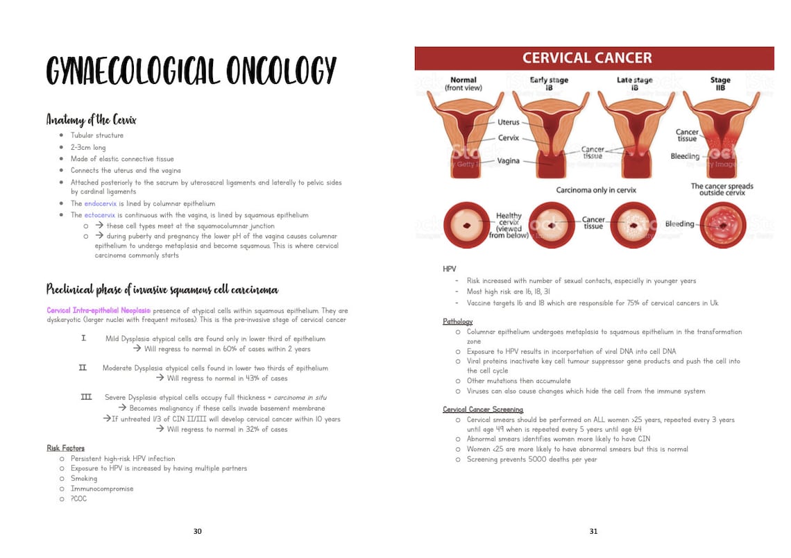 Gynaecology Notes Bundle Etsy