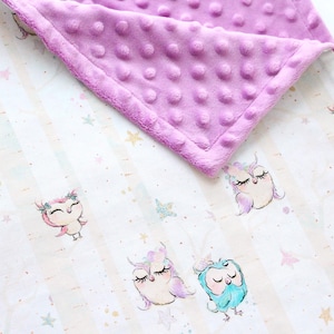 Sleeping Owl Baby Blanket, Personalized Blanket, Owl Nursery Bedding, Owl Minky Lovey, Owl Baby Shower Gift, Stroller Blanket, Car Throw