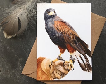 Harris Hawk Bird of prey A6 Greeting Card/Falconry/Bird of Prey/Greeting Card/Watercolour painting Harris Hawk/Falconry art/Bird lovers