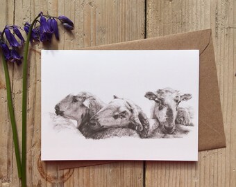 Sheep Card 'Lean On Me' A6 Blank Greeting Card/Animal Art/Sheep Card/Blank Greeting card/Sheep print/Sheep drawing/Sheep Gifts/Farm Animals