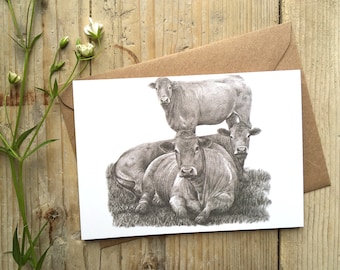 Tarjeta de felicitación en blanco tamaño A6 con ganado Limousin