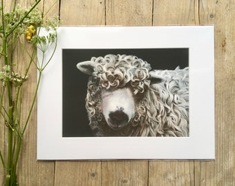 Impresión giclée de oveja de Dartmoor de cara gris: arte peculiar de animales de granja