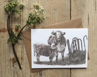 Cow occasional card/Longhorn and Calf drawing/Cow Birthday/Luxury Blank occasional card/Cow gift/farming cows/cow lovers