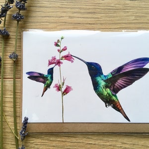 Beija-flor/cartões de felicitações/cartão em branco/cartão de beija-flor/presente de beija-flor/beija-flor/cartões feitos à mão/cartão/cartões de felicitações feitos à mão/aquarela