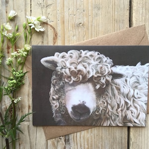 Greyface Dartmoor Sheep 'Curly' A6 Carte de vœux / Dartmoor Sheep / Sheep Art / Cadeaux de mouton / Cartes de mouton / Cartes d’animaux de ferme / Moutons excentriques / Cartes vierges