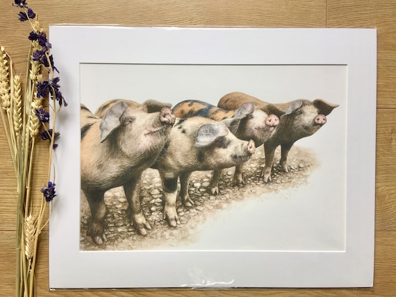 farmyard animal gifts pig watercolour Pig art farmyard animal picture