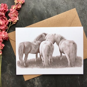 Shetland Ponys/Blanke Einzelkarte/Schwarz-Weiß-Graphit-Zeichnung/Reiterkarte/Realistisches Shetlandpferd/Pferdeliebhaber