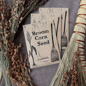 Puede incluir: Tres paquetes de semillas marrones con la etiqueta "Broom Corn Seed", una ilustración de escoba y el texto "100 Seeds". Los paquetes están sobre una superficie gris, con mijo de escoba seco y una cabeza de escoba en el fondo.