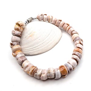 May include: A circular necklace composed of small, natural, tan and white spiral shell beads. The necklace features a metallic silver-toned magnetic clasp with small silver beads at the closure point, creating a simple and uniform strand design.