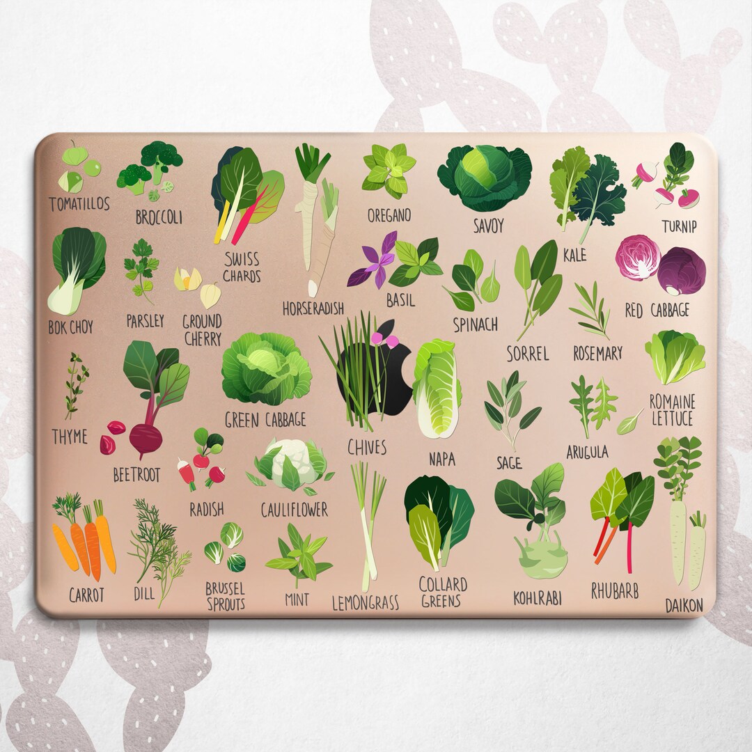 Vegetable Names MacBook Pro 16 15 14 Vegan 2023 2022 2020 12 Etsy