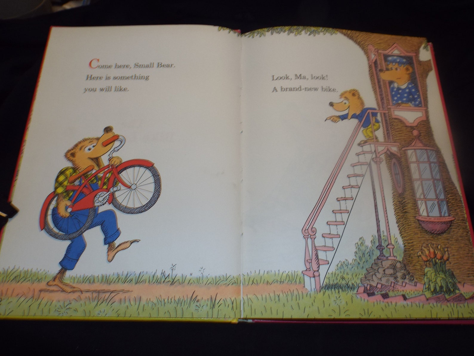 one year on a bike book