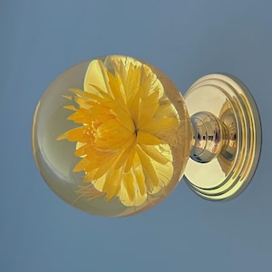 Large Brass Art Real Flower Reclaimed Centre Knob Pull Handle Front Door Dummy Antique