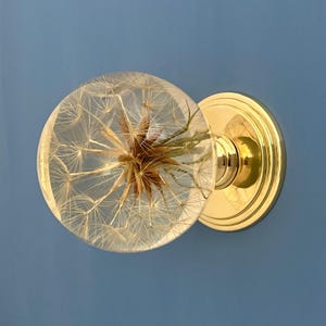 Tirador de puerta de entrada antiguo con pomo central de latón macizo con diseño de flor natural recuperada.