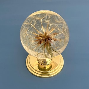 Stor mässingskonst Goatsbeard Flower återvunnen mittknopp med draghandtag för ytterdörr, antik