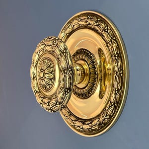 May include: A polished brass door knob with an oval handle and a circular backplate. The handle and backplate feature intricate floral and leaf patterns. The hardware is mounted on a blue wall.