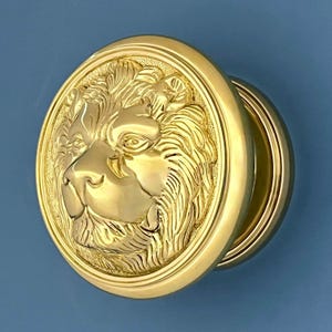 Manija central recuperada con cara de león de latón fundido pesado extra grande de 6 ", caja ficticia, aldaba para puerta de entrada, buzón, carta principal (MÁS DISPONIBLES)