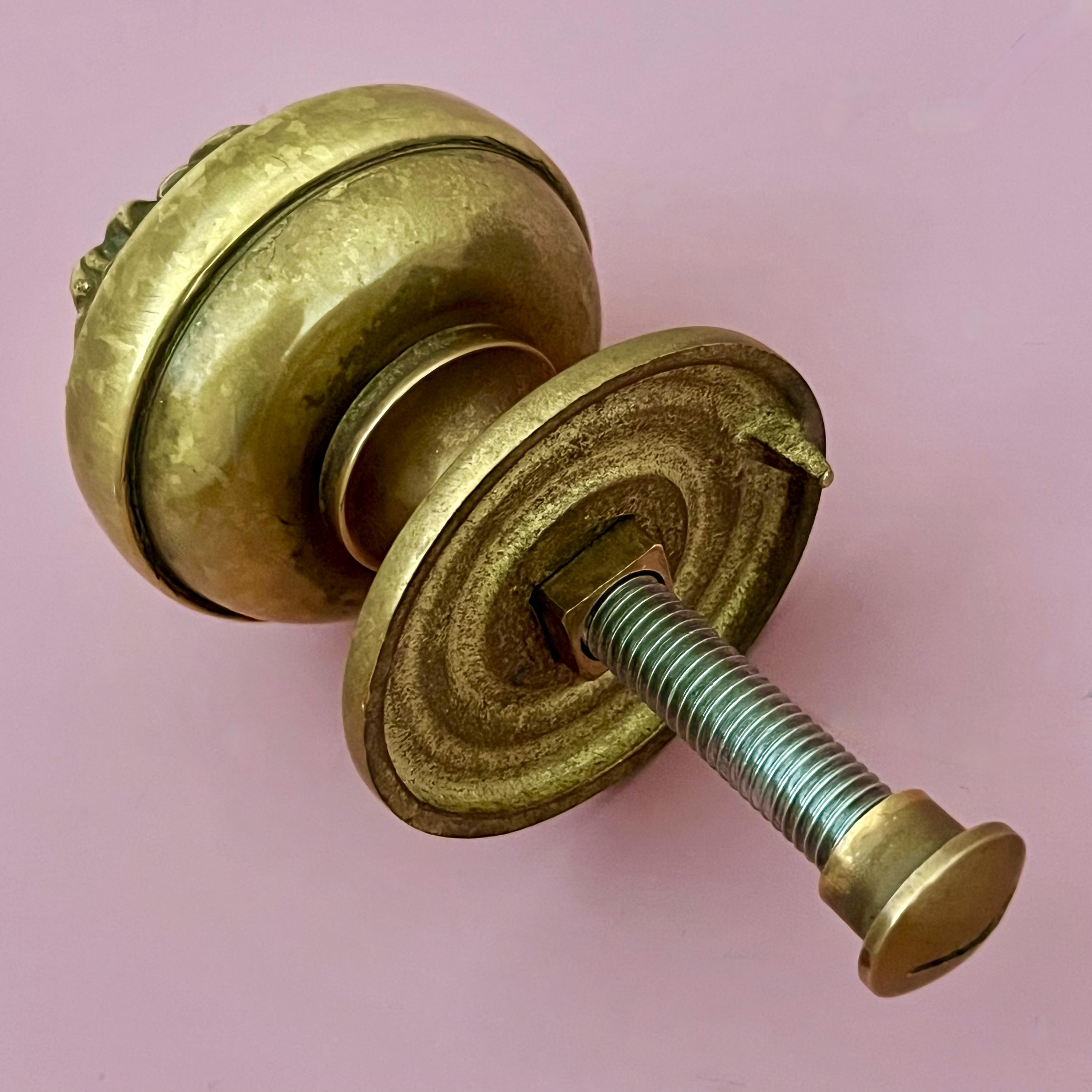 Large Antique Heavy Cast Brass Lion Reclaimed Centre Knob Handle