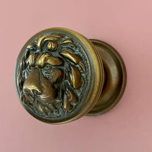 May include: A vintage brass door knob featuring a detailed lion's head. The round knob has a textured surface and a warm, antique finish. The lion's face is the focal point, adding a touch of classic elegance to any door.