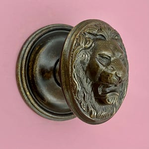 May include: An antique brass door knob with a detailed lion's head design. The oval knob has a textured surface and a dark, aged finish. The background is a solid pink colour.