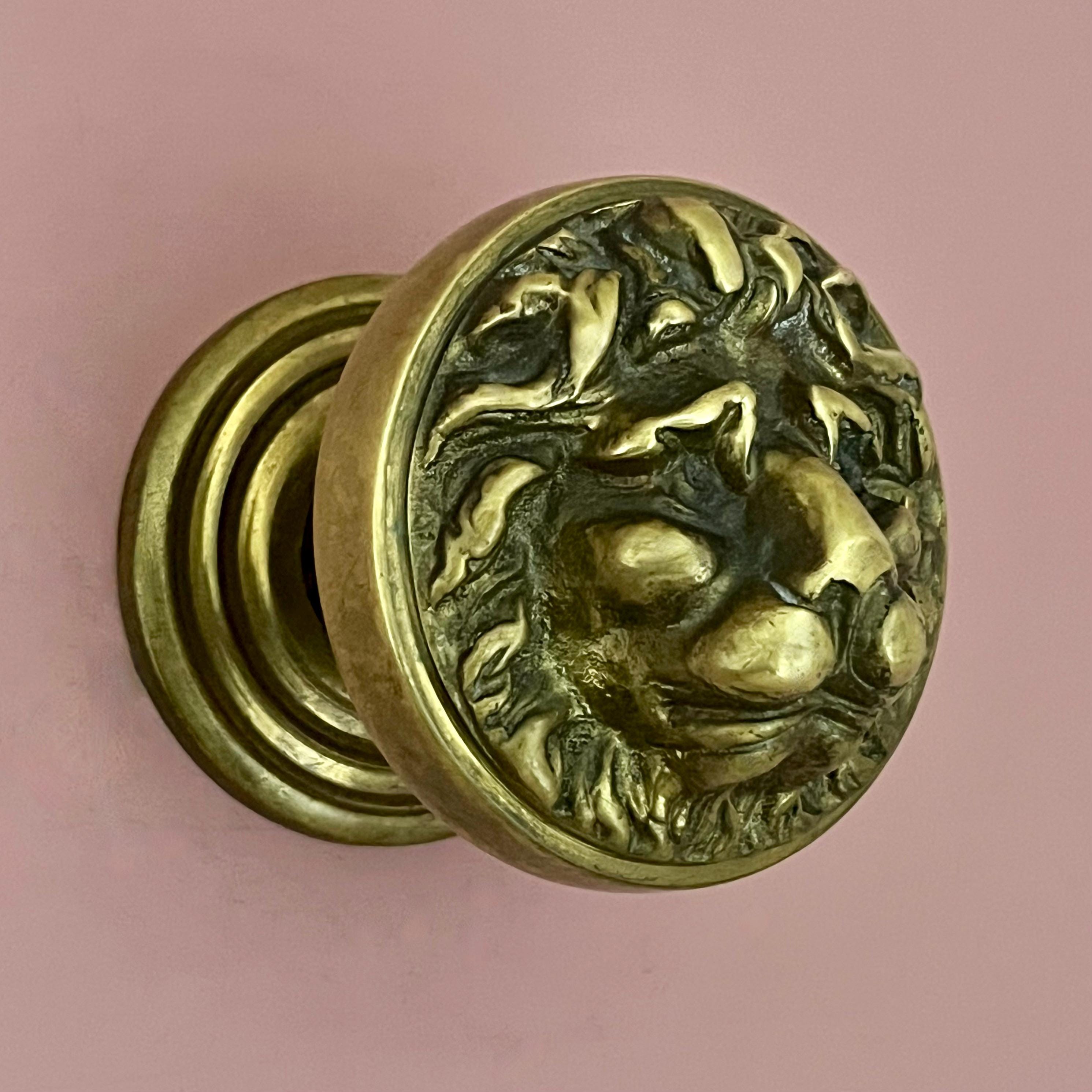 Large Antique Heavy Cast Brass Lion Reclaimed Centre Knob Handle