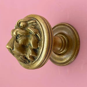 May include: A brass door knob with a lion's head design. The knob is a warm gold colour and features intricate detailing of the lion's mane and facial features. The knob is mounted on a pink surface.