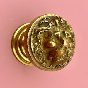 May include: A brass door knob featuring a detailed lion's head design. The round knob has a gold finish and a detailed relief of a lion's face. The knob is mounted on a pink surface.