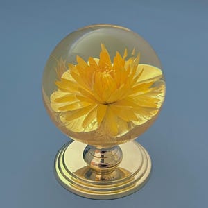 Könnte beinhalten: Dekoratives Briefbeschwerer mit einer leuchtend gelben Blume, die in klarem, kugelförmigem Harz eingeschlossen ist. Die Blume ruht auf einem goldfarbenen Sockel, was einen auffälligen Kontrast erzeugt. Das Design ist elegant und ansprechend.