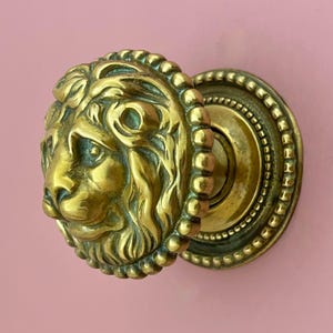May include: A brass door knob featuring a detailed lion's head. The lion's face is in profile, with a textured mane and facial features. The knob is mounted on a circular backplate with a beaded edge, against a pink background.