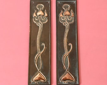 May include: A pair of antique door plates with an Art Nouveau design. The plates are made of brass and feature a stylized floral motif in copper.