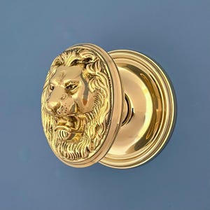 Enorme pomo central grande y pesado de latón fundido con cara de león recuperado y restaurado, para puerta de entrada, buzón, correo, majestuoso (MÁS DISPONIBLES)