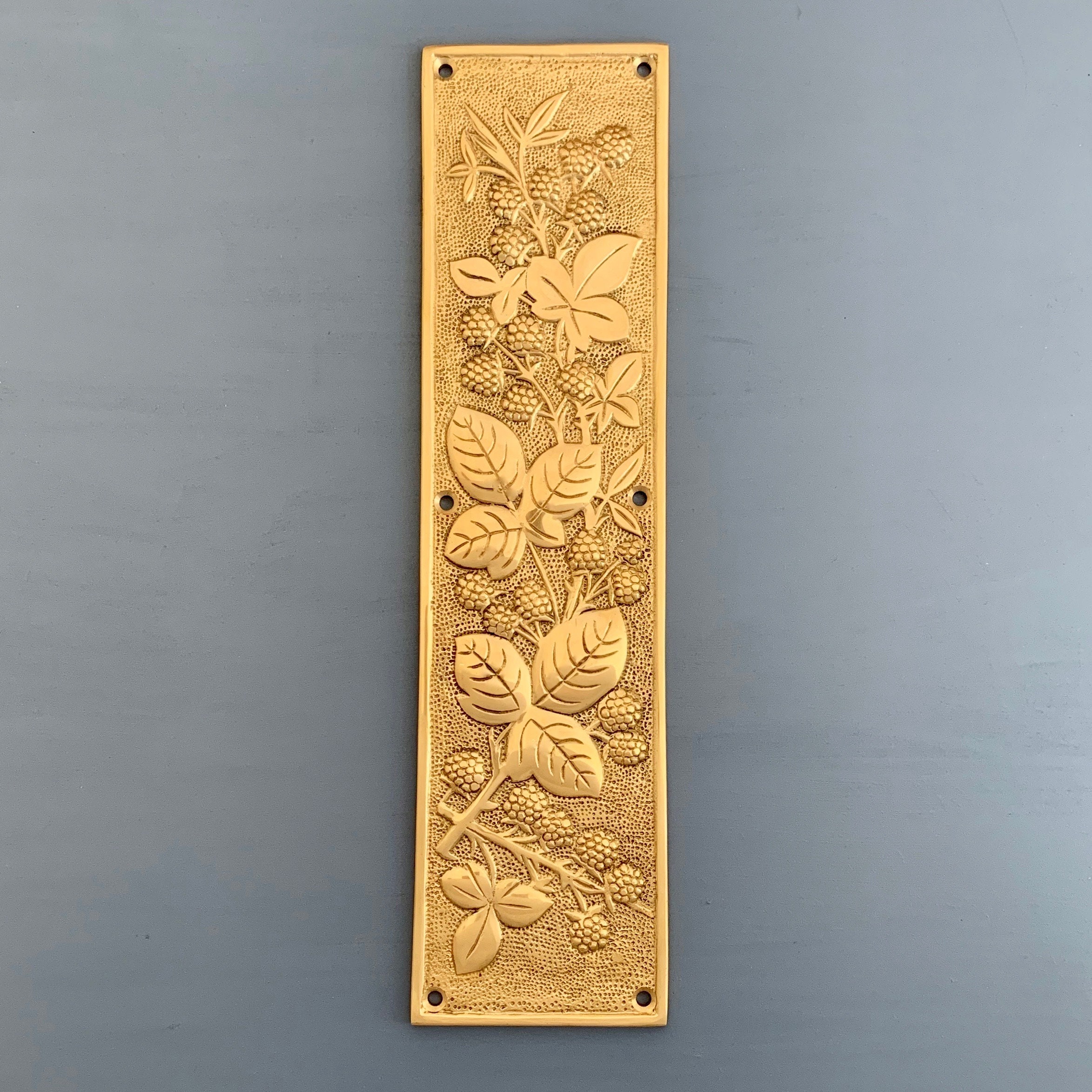 Brass Finger Door Push Plates Arts Crafts Blackberry Plate Etsy UK
