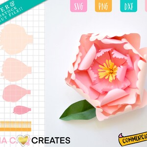 Peony Paper Flower SVG Bundle, SVG Cut File for Cricut - Etsy