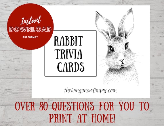Rabbit Trivia Flash Cards, Rabbit Fact Study Cards, PDF File
