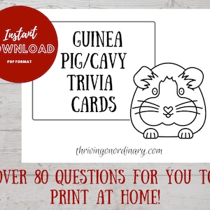 Guinea Pig/Cavy Trivia Flash Cards, Guinea Pig Fact Study Cards, Cavy Knowledge Flash Cards PDF File