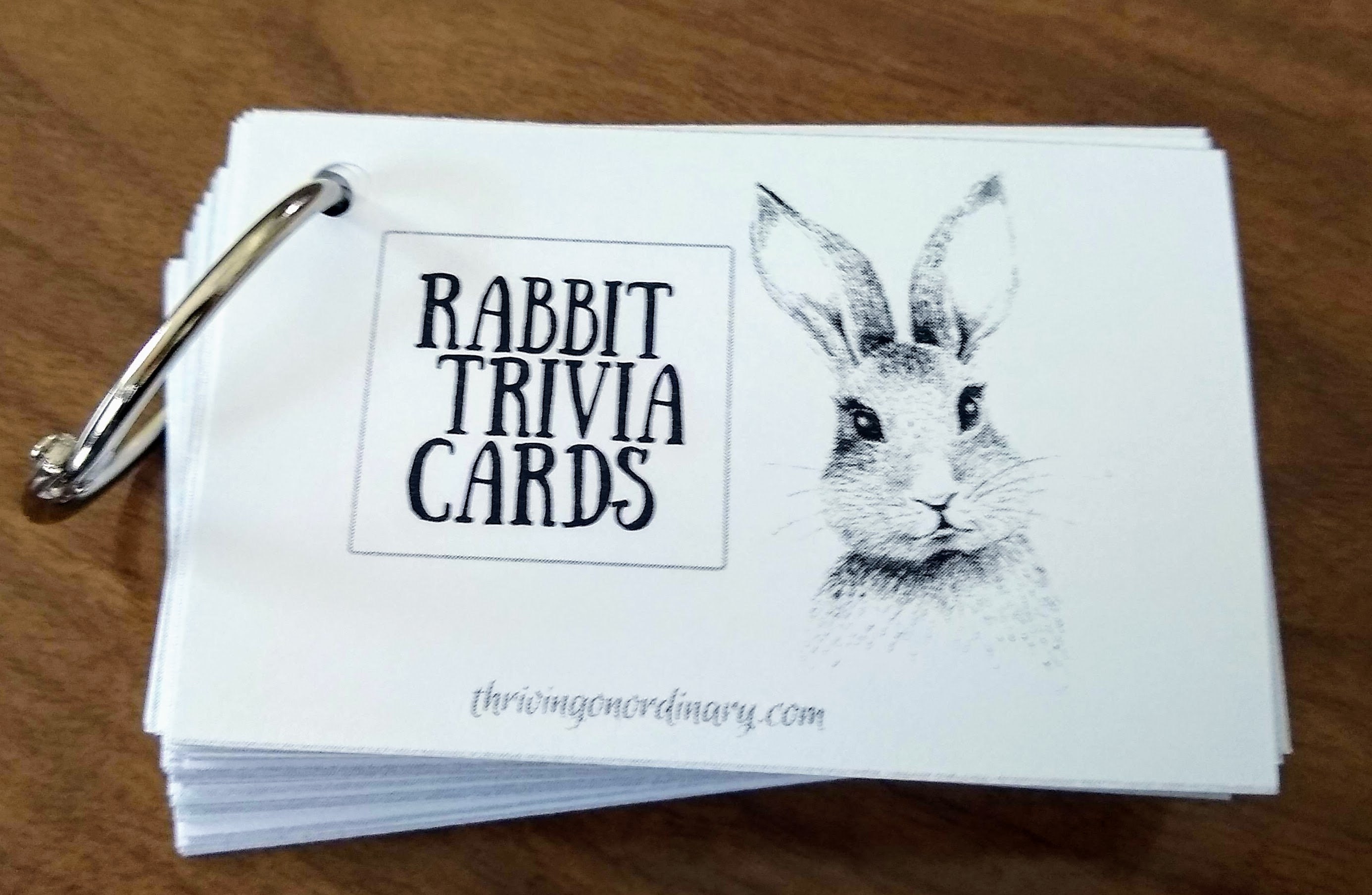 Rabbit Trivia Flash Cards PDF File Etsy