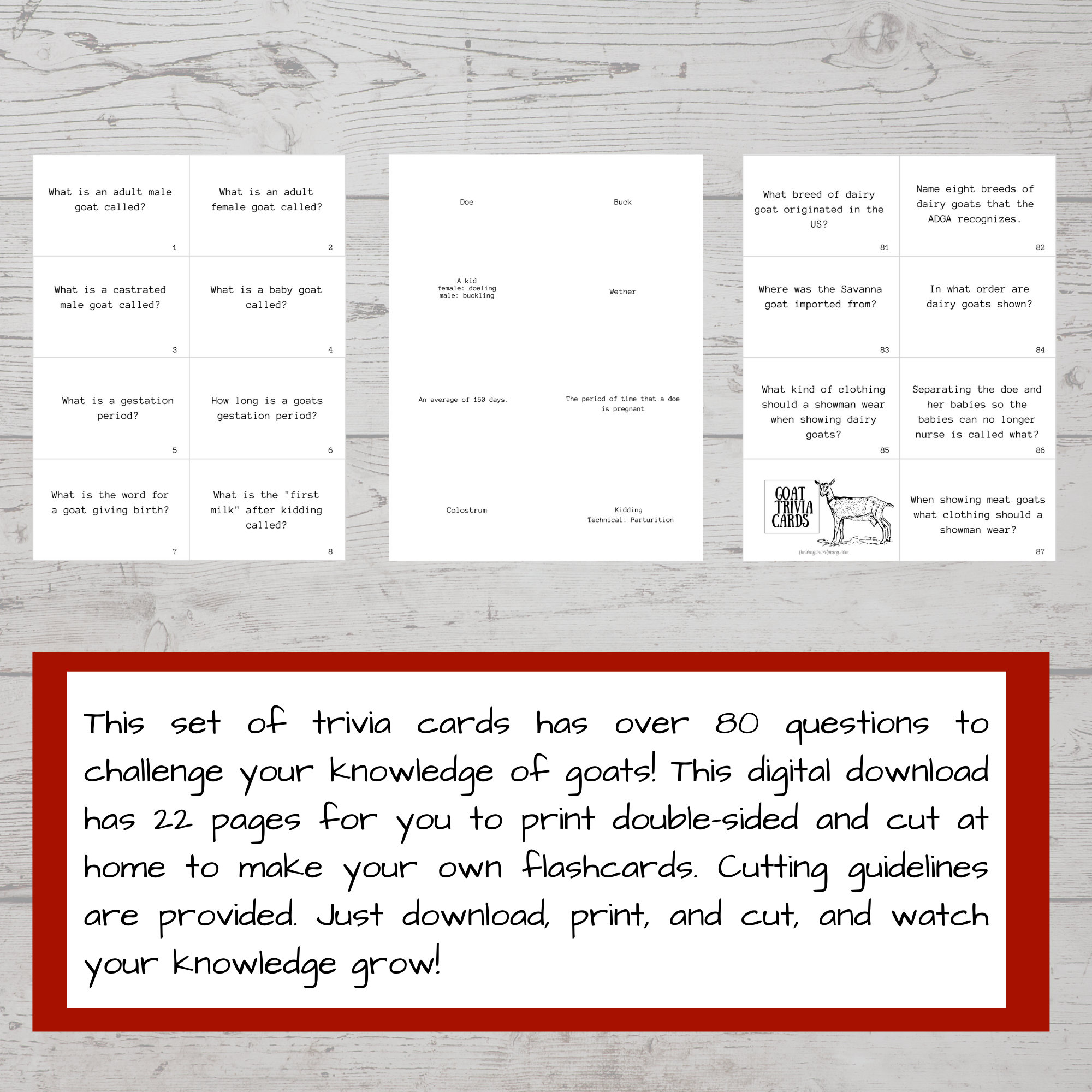 Goat Trivia Flash Cards, Goat Facts Study Cards, Goat Bowl Question ...