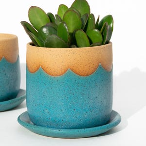 May include: Two ceramic planters with a speckled turquoise base and a tan scalloped rim. One planter holds a green succulent. Each planter sits on a matching turquoise saucer. The planters are on a white background.