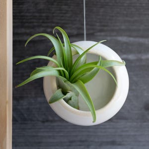 Suporte de cerâmica para plantas aéreas - Vaso de cracas feito à mão - Decoração costeira inspirada no oceano - Cerâmica boho moderna - Presente exclusivo - Feito sob encomenda