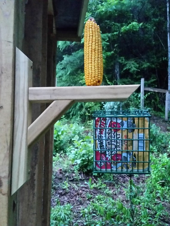 Wooden Hanging Squirrel Bird Feeder Etsy