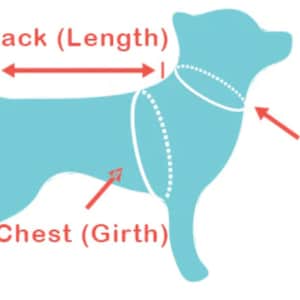 K&ouml;nnte beinhalten: Diagramm, das zeigt, wie man einen Hund f&uuml;r ein Kleidungsst&uuml;ck misst. Das Diagramm zeigt einen hellblauen Hund mit wei&szlig;en gepunkteten Linien, die angeben, wo man R&uuml;cken, Hals und Brust misst.