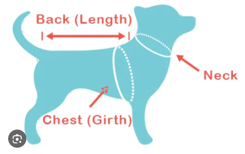 K&ouml;nnte beinhalten: Diagramm, das zeigt, wie man einen Hund f&uuml;r ein Kleidungsst&uuml;ck misst. Das Diagramm zeigt einen hellblauen Hund mit wei&szlig;en gepunkteten Linien, die angeben, wo man R&uuml;cken, Hals und Brust misst.
