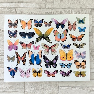 Butterfly Diversity Risograph Print