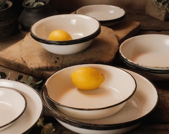 Enamel Metal White Bowls, Small Rustic Storage Tray, Farmhouse Outdoor Indoor Planter