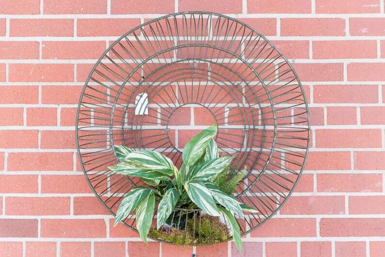 Vintage Wire Basket Wall Planter Industrial Metal Wire Patio Etsy