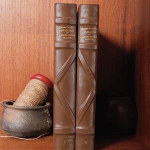 Antique Book Sets | Decorative Vintage Leather-Bound Books | Shelf & Mantel Styling | 1915-1920 Prop Display| Library Decor | Free Shipping