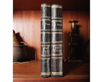 Antique Danish Leather-Bound Book Set Decorative Books, Carl Ewald & L. Gude