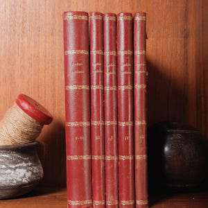 Set of 5 Anderseniana Volumes | Decorative Red & Marbled Covers | Danish Vintage Book Collection | Free Shipping