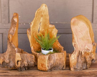 Abstract Wood Planter, Rustic Table Vase Decor
